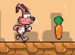 tooltip-img