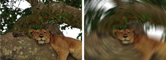 Radial Motion Blur type