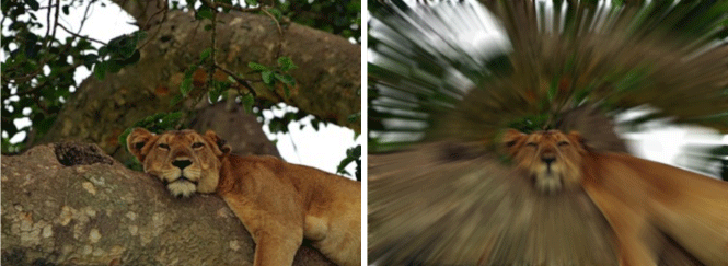 Zoom outward Effect