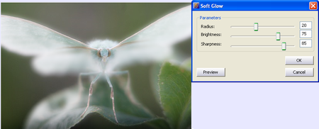 Soft Glow Effect