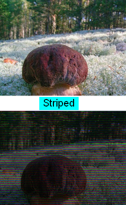 Video Effect