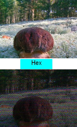Video Effect